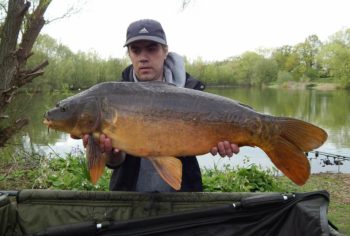 Dean - Pit 2 Mirror 19lb